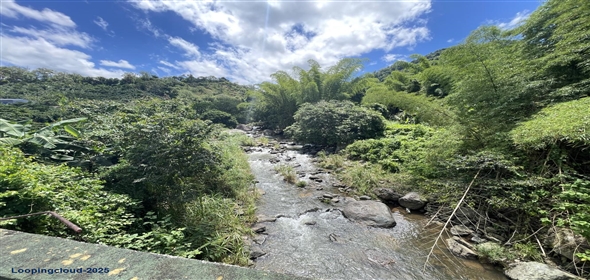 Carretera 518 Aguadilla Puerto Rico, 00601 | 230 Acres farmland, several streams