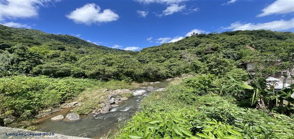 Carretera 518 Aguadilla Puerto Rico, 00601 | 230 Acres farmland, several streams