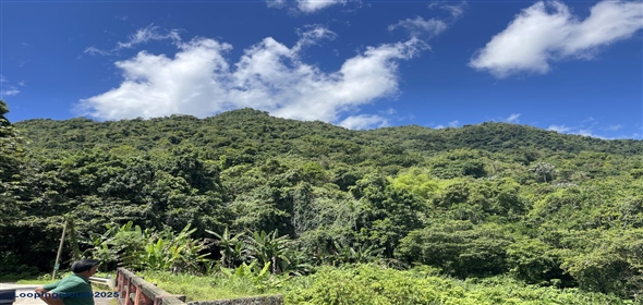 Carretera 518 Aguadilla Puerto Rico, 00601 | 230 Acres farmland, several streams