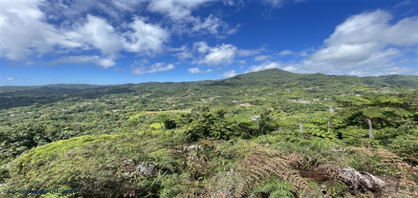 Carretera 518 Aguadilla Puerto Rico, 00601 | 230 Acres farmland, several streams