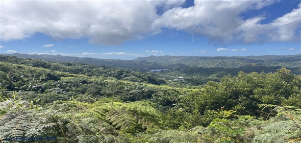 Carretera 518 Aguadilla Puerto Rico, 00601 | 230 Acres farmland, several streams