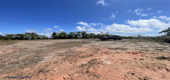 Carretera 518 Aguadilla Puerto Rico, 00601 | 230 Acres farmland, several streams