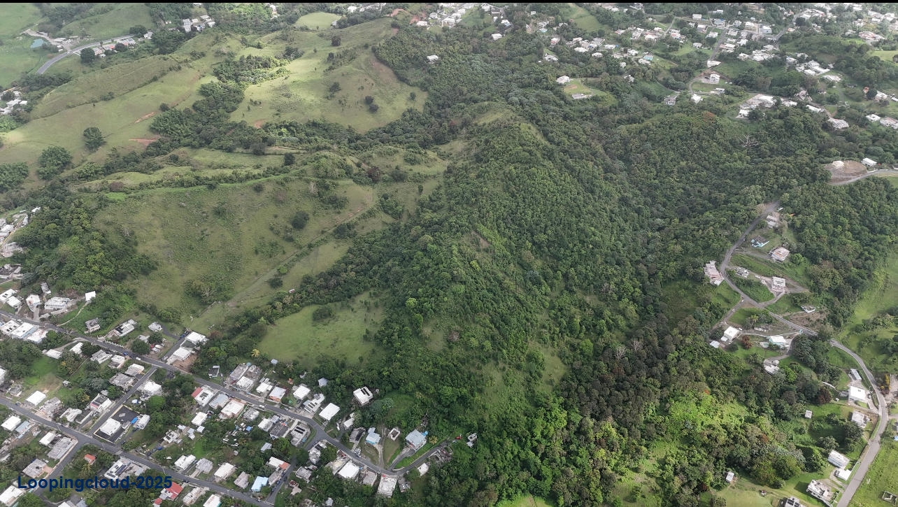 Commercial Property for Sale in Humacao Puerto Rico 00791