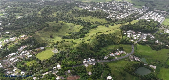 Carr. 924 y 938 Bo. Mambiche y Anton Ruiz Humacao Puerto Rico, 00791 | Humacao, Bo. Mambiche & Anton Ruiz, 125 acres