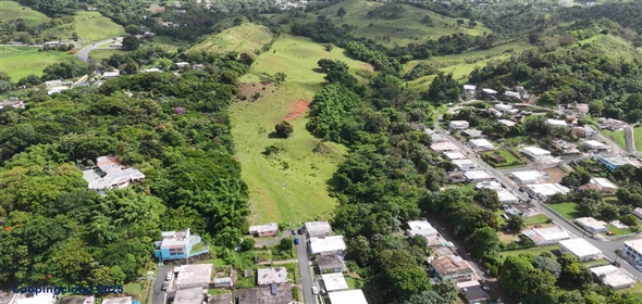 Carr. 924 y 938 Bo. Mambiche y Anton Ruiz Humacao Puerto Rico, 00791 | Humacao, Bo. Mambiche & Anton Ruiz, 125 acres