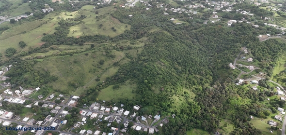 Carr. 924 y 938 Bo. Mambiche y Anton Ruiz Humacao Puerto Rico, 00791 | Humacao, Bo. Mambiche & Anton Ruiz, 125 acres