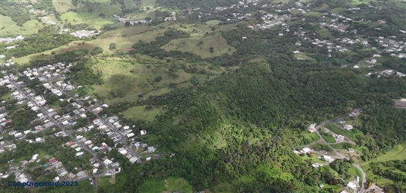 Carr. 924 y 938 Bo. Mambiche y Anton Ruiz Humacao Puerto Rico, 00791 | Humacao, Bo. Mambiche & Anton Ruiz, 125 acres