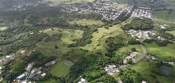 Carr. 924 y 938 Bo. Mambiche y Anton Ruiz Humacao Puerto Rico, 00791 | Humacao, Bo. Mambiche & Anton Ruiz, 125 acres