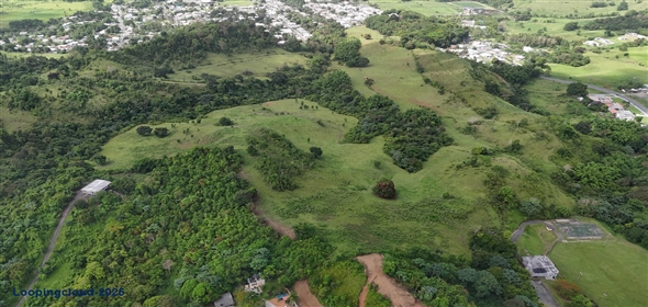 Carr. 924 y 938 Bo. Mambiche y Anton Ruiz Humacao Puerto Rico, 00791 | Humacao, Bo. Mambiche & Anton Ruiz, 125 acres