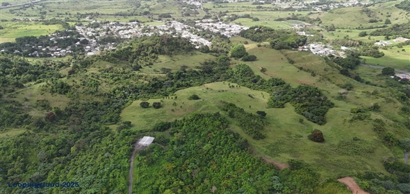 Carr. 924 y 938 Bo. Mambiche y Anton Ruiz Humacao Puerto Rico, 00791 | Humacao, Bo. Mambiche & Anton Ruiz, 125 acres