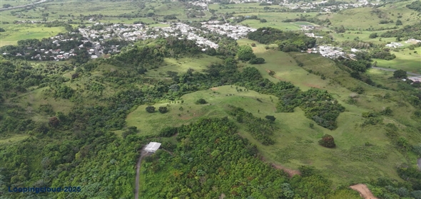 Carr. 924 y 938 Bo. Mambiche y Anton Ruiz Humacao Puerto Rico, 00791 | Humacao, Bo. Mambiche & Anton Ruiz, 125 acres
