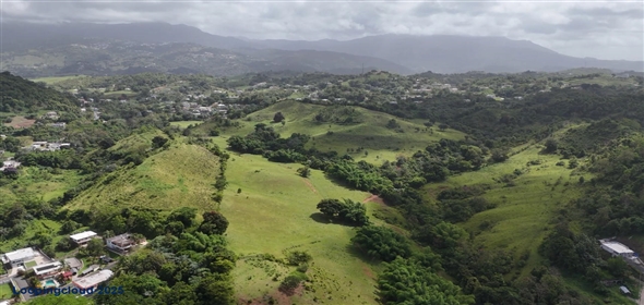 Carr. 924 y 938 Bo. Mambiche y Anton Ruiz Humacao Puerto Rico, 00791 | Humacao, Bo. Mambiche & Anton Ruiz, 125 acres