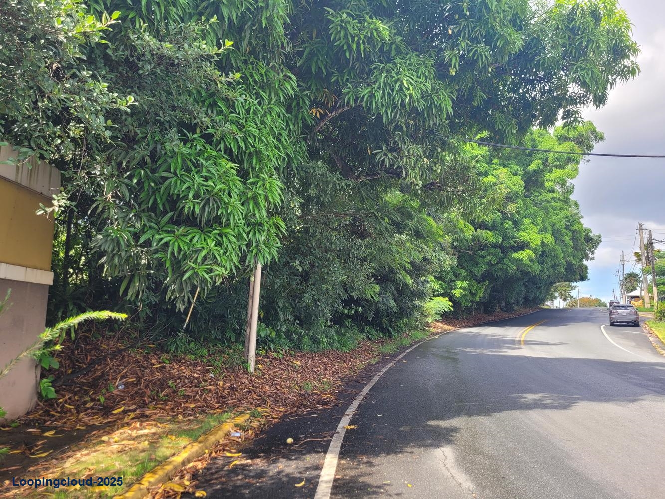 Commercial Property for Sale in  Puerto Rico 00953