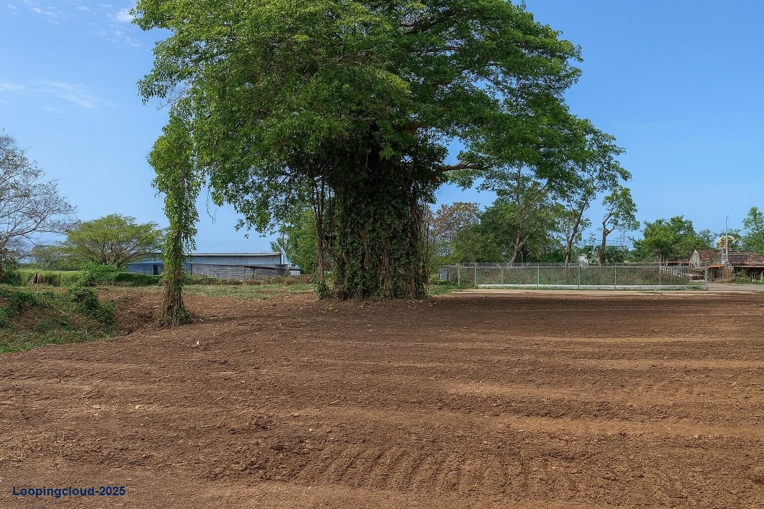 Commercial Property for Sale in Aguadilla Puerto Rico 00603