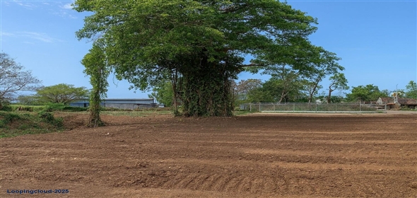 KM 120.6 PR-2 Aguadilla Puerto Rico, 00603 | 7 Cuerdas agricola-comercial