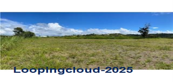 KM 120.6 PR-2 Aguadilla Puerto Rico, 00603 | 7 Cuerdas agricola-comercial