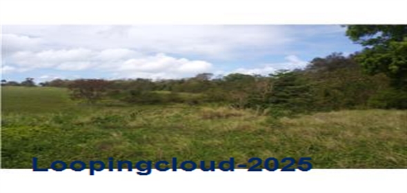 KM 120.6 PR-2 Aguadilla Puerto Rico, 00603 | 7 Cuerdas agricola-comercial