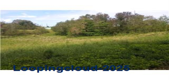 KM 120.6 PR-2 Aguadilla Puerto Rico, 00603 | 7 Cuerdas agricola-comercial