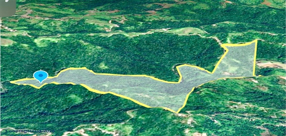 124 KM 8.6 int Aguadilla Puerto Rico, 00670 | Coffee and Oranges,151 acres plantation