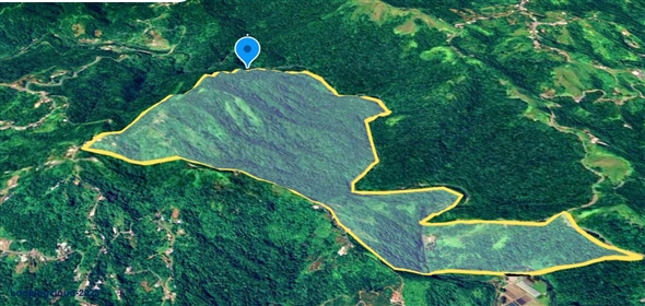 124 KM 8.6 int Aguadilla Puerto Rico, 00670 | Coffee and Oranges,151 acres plantation