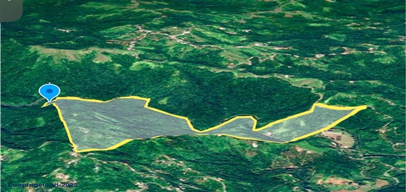 124 KM 8.6 int Aguadilla Puerto Rico, 00670 | Coffee and Oranges,151 acres plantation