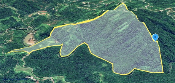 124 KM 8.6 int Aguadilla Puerto Rico, 00670 | Coffee and Oranges,151 acres plantation