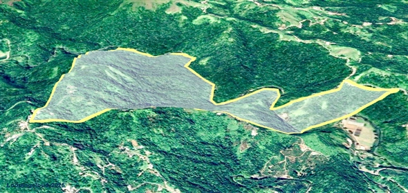 124 KM 8.6 int Aguadilla Puerto Rico, 00670 | Coffee and Oranges,151 acres plantation