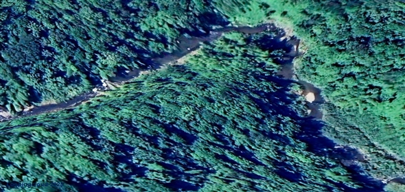 124 KM 8.6 int Aguadilla Puerto Rico, 00670 | Coffee and Oranges,151 acres plantation