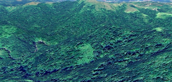 124 KM 8.6 int Aguadilla Puerto Rico, 00670 | Coffee and Oranges,151 acres plantation