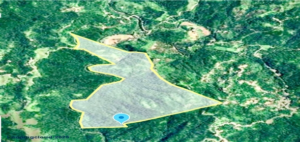 124 KM 8.6 int Aguadilla Puerto Rico, 00670 | Coffee and Oranges,151 acres plantation