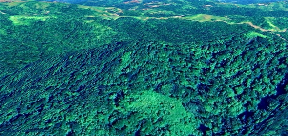 124 KM 8.6 int Aguadilla Puerto Rico, 00670 | Coffee and Oranges,151 acres plantation