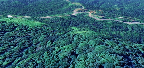 124 KM 8.6 int Aguadilla Puerto Rico, 00670 | Coffee and Oranges,151 acres plantation