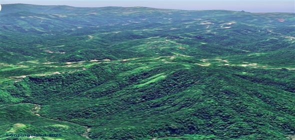 124 KM 8.6 int Aguadilla Puerto Rico, 00670 | Coffee and Oranges,151 acres plantation