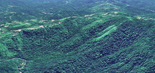 124 KM 8.6 int Aguadilla Puerto Rico, 00670 | Coffee and Oranges,151 acres plantation