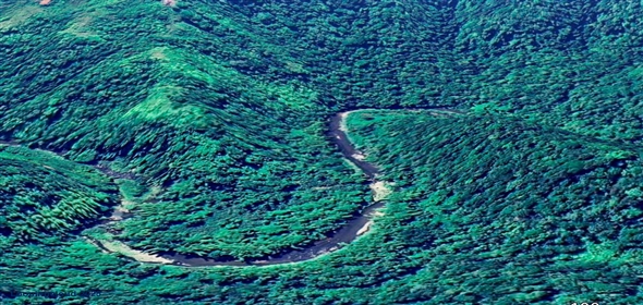 124 KM 8.6 int Aguadilla Puerto Rico, 00670 | Coffee and Oranges,151 acres plantation