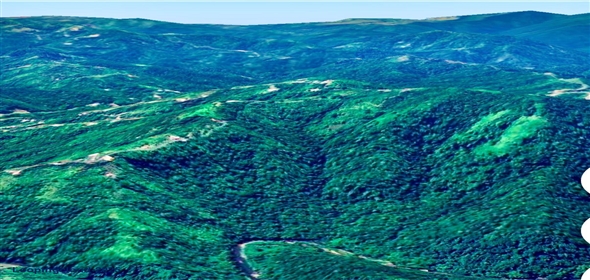 124 KM 8.6 int Aguadilla Puerto Rico, 00670 | Coffee and Oranges,151 acres plantation