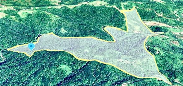 124 KM 8.6 int Aguadilla Puerto Rico, 00670 | Coffee and Oranges,151 acres plantation