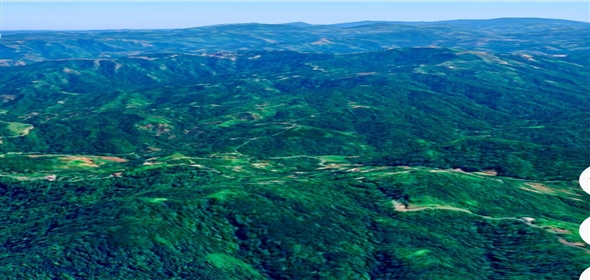 124 KM 8.6 int Aguadilla Puerto Rico, 00670 | Coffee and Oranges,151 acres plantation