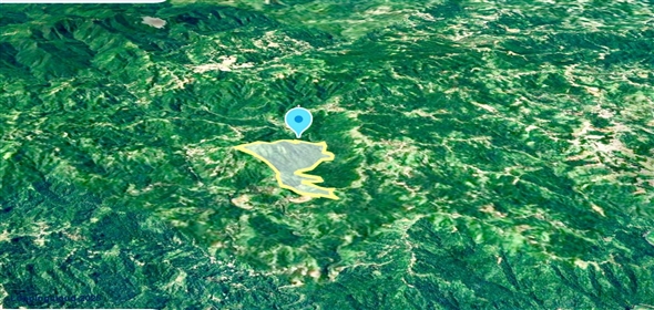 124 KM 8.6 int Aguadilla Puerto Rico, 00670 | Coffee and Oranges,151 acres plantation