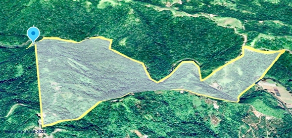 124 KM 8.6 int Aguadilla Puerto Rico, 00670 | Coffee and Oranges,151 acres plantation