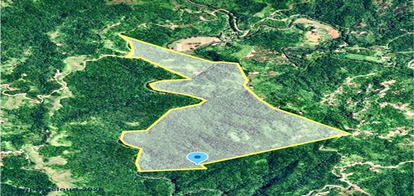 124 KM 8.6 int Aguadilla Puerto Rico, 00670 | Coffee and Oranges,151 acres plantation