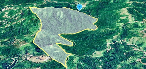 124 KM 8.6 int Aguadilla Puerto Rico, 00670 | Coffee and Oranges,151 acres plantation