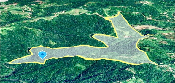 124 KM 8.6 int Aguadilla Puerto Rico, 00670 | Coffee and Oranges,151 acres plantation