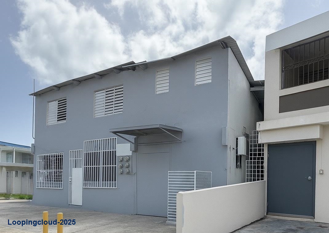 Commercial Property for Sale in Castellana Gardens Dev Puerto Rico 00983