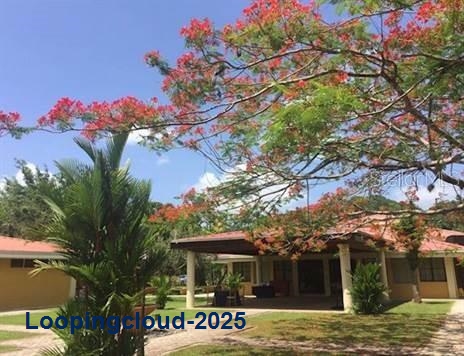 Commercial Property for Sale in KM 21.3 BO. LA MUDA Puerto Rico 00969
