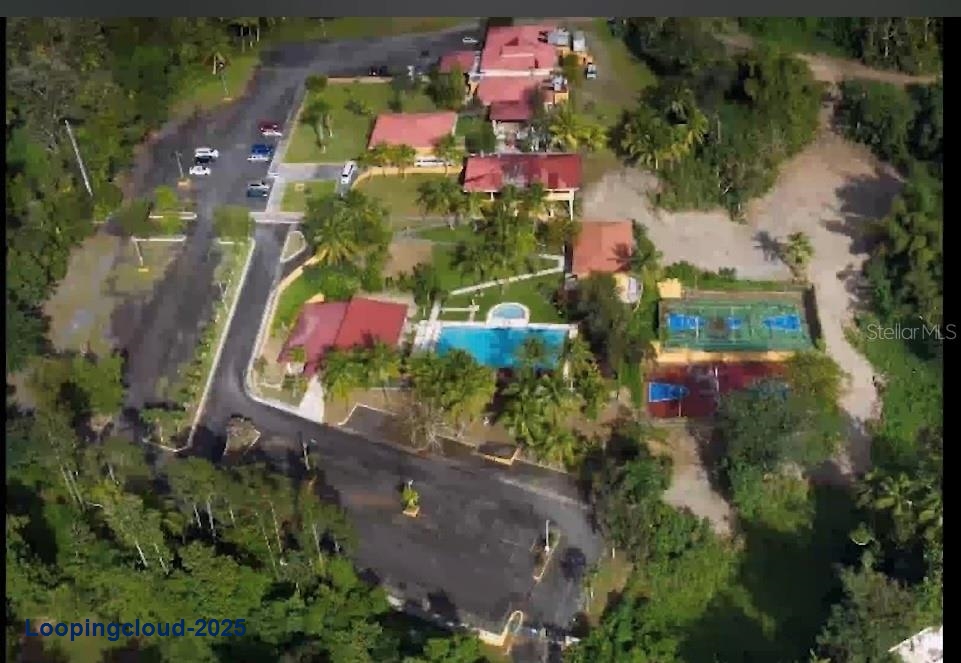 Commercial Property for Sale in KM 21.3 BO. LA MUDA Puerto Rico 00969