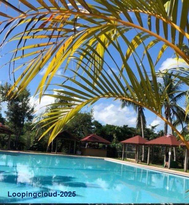 Commercial Property for Sale in KM 21.3 BO. LA MUDA Puerto Rico 00969