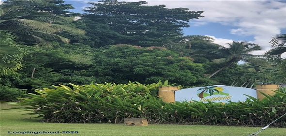 CARR 1, KM 21.3 BO. LA MUDA Guaynabo Puerto Rico, 00969 | The Earthly Paradise of the Caribbean