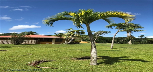 CARR 1, KM 21.3 BO. LA MUDA Guaynabo Puerto Rico, 00969 | The Earthly Paradise of the Caribbean