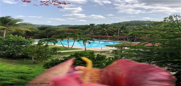 CARR 1, KM 21.3 BO. LA MUDA Guaynabo Puerto Rico, 00969 | The Earthly Paradise of the Caribbean